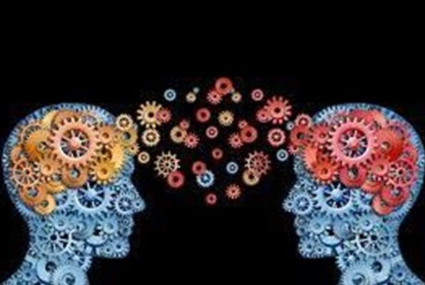 نظام تبادل تجارب مدیران بخش های دولتی و خصوصی