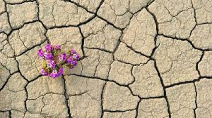 بررسی تاثیرات و کارکردهای تاب آوری