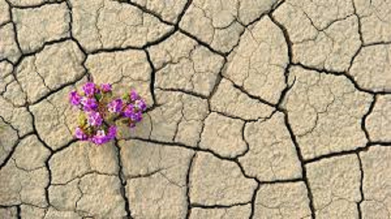 بررسی تاثیرات و کارکردهای تاب آوری