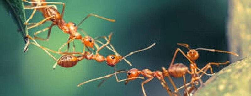 شیوه های افزایش جلب مشارکت کارکنان